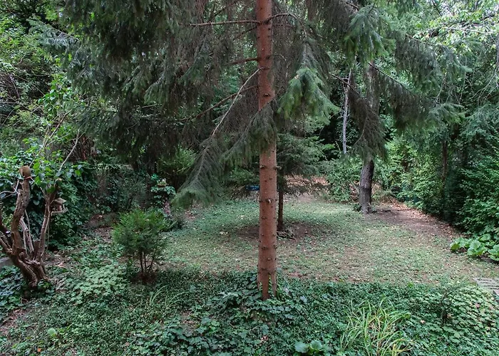 Apartament Hill Gem On Buda *